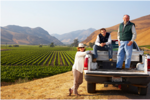 Flying Goat Cellars